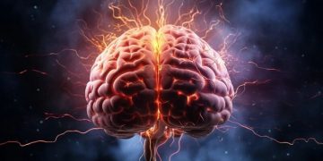 چۆن مێشک لە پاش تەمەنی 50 ساڵیدا بە گەنجی بمێنێتەوە؟