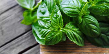 سوودە تەندرووستییەکانی خواردنی ڕەیحان بزانە