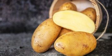 شێوازە درووستەکانی پاراستنی پەتاتە