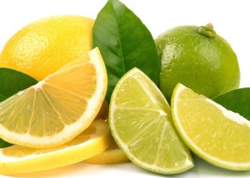 تایبەتمەندییە ناوازەکانی لیمۆ