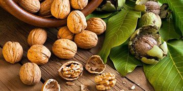 تایبەتمەندییەکانی گوێز بۆ جەستەی مرۆڤ