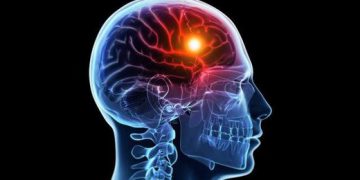 ئەو خۆراکە بەسوودانەی کە مەترسی جەڵتە لە مرۆڤدا کەم دەکەنەوە