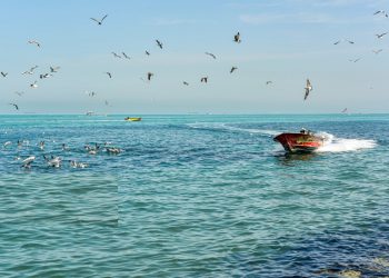 کەنداوی فارس بەشێکە لە جەستەی ئێران