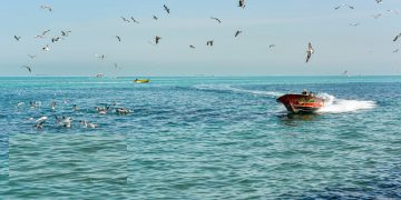 کەنداوی فارس بەشێکە لە جەستەی ئێران