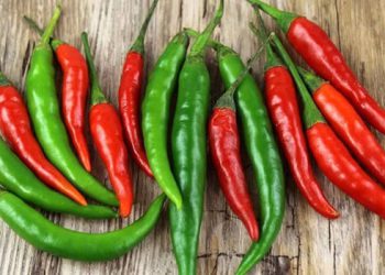 بیبەری توند چ سوودێکی بۆ ژنانی دووگیان هەیە؟