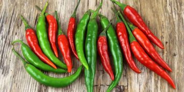 بیبەری توند چ سوودێکی بۆ ژنانی دووگیان هەیە؟