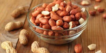 بۆچی دەبێت عەلی بابا بخۆین؟