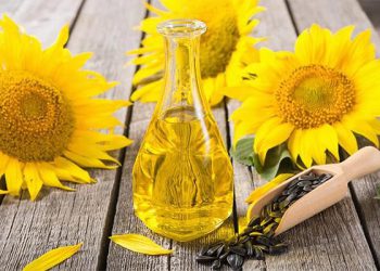 ئایا زەیتی گوڵەبەڕۆژە کاریگەریی لە سەر تەندرووستی دڵ هەیە؟