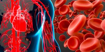 بەم میوانە چارەسەری کەمخوێنی بکە