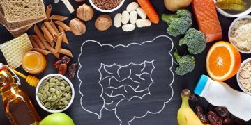 پاراستنی تەندرووستی ڕیخۆڵە بە 4 ڤیتامینی گرنگ و سەرەکی