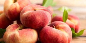 ئەم میوەیە تایبەتمەندی زۆرە و چەوری و کۆلیسترۆلی تێدا نییە!