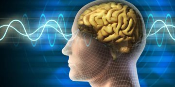 سێ پێداویستی سەرەکی مێشک