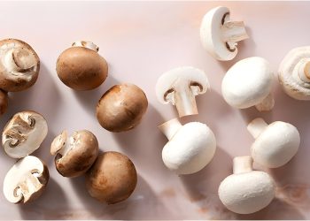 ئەم ڕووەکە بخۆیت ڤیتامین D جەستەت دابین دەکرێت