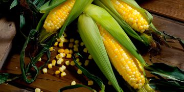 تایبەتمەندی باشی گەنمەشامی چییە؟