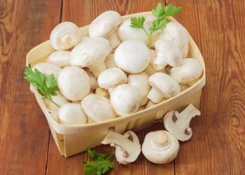 ئایا قارچک بخۆین بۆ چارەسەری کەم خوێنی؟