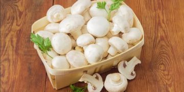 ئایا قارچک بخۆین بۆ چارەسەری کەم خوێنی؟